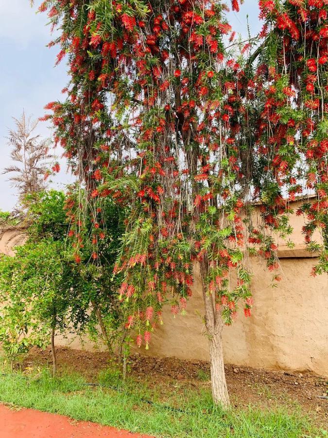 Yanii Siin Villa Marrakesh